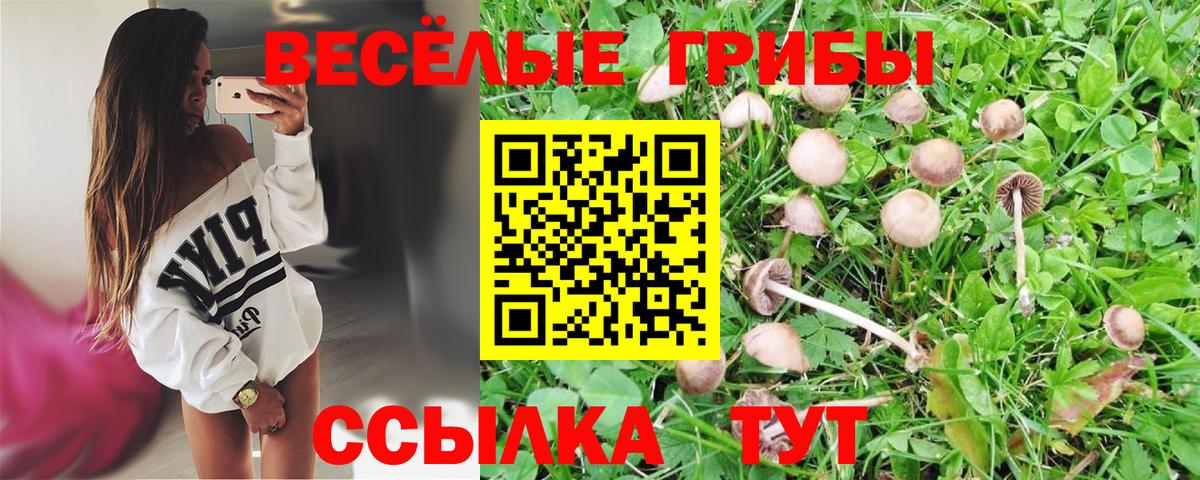 Псилоцибиновые грибы мухоморы Миллерово